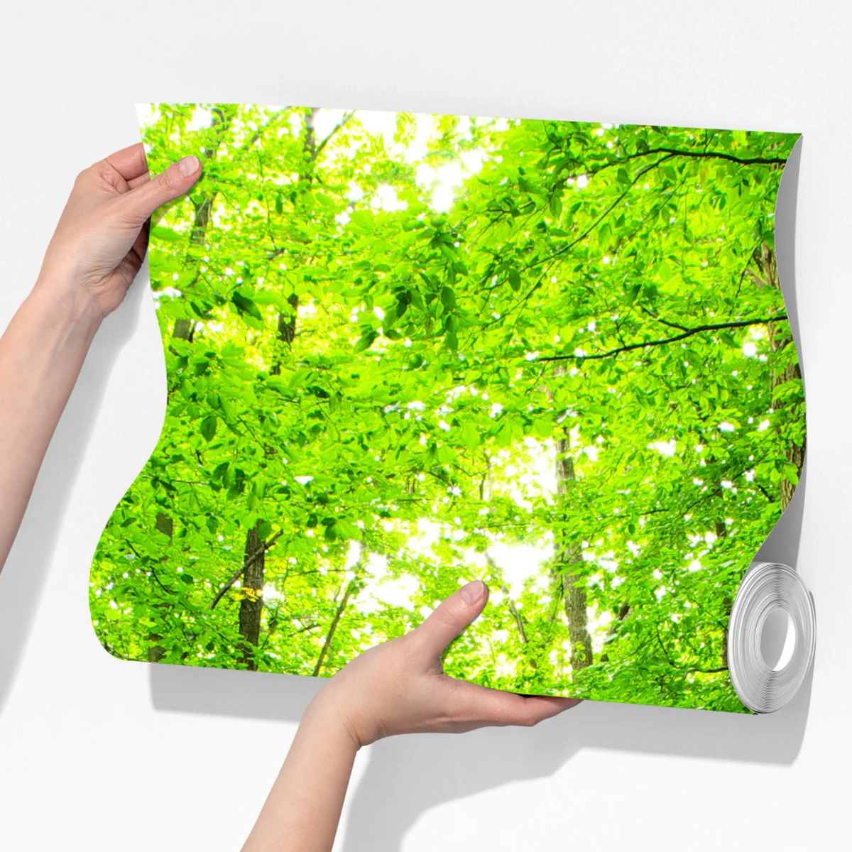 Fototapeta spokojna leśna ścieżka Fototapeta spokojna leśna ścieżka