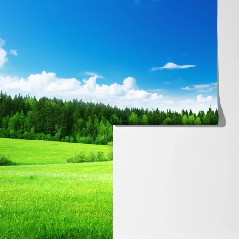 Fototapete frühlingswiese unter blauem himmel Fototapete frühlingswiese unter blauem himmel