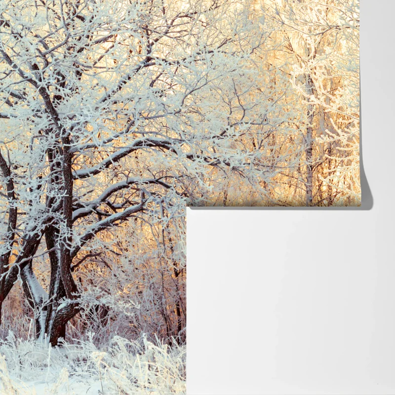 Fototapete wintersonne im verschneiten wald Fototapete wintersonne im verschneiten wald