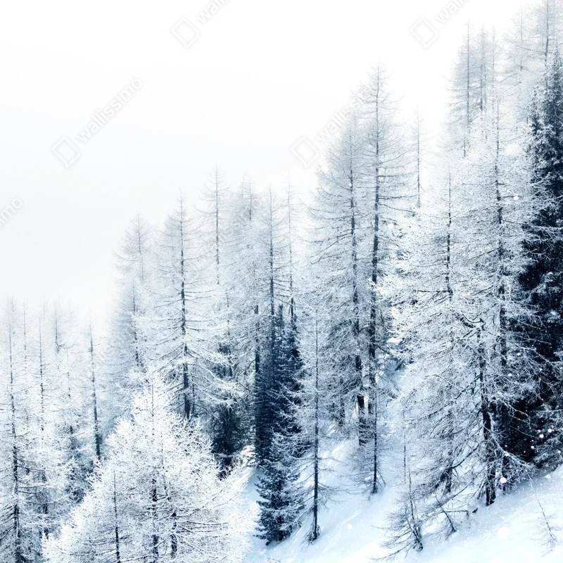 Repositionierbarer Aufkleber winterstille: verschneiter wald Repositionierbarer Aufkleber winterstille: verschneiter wald