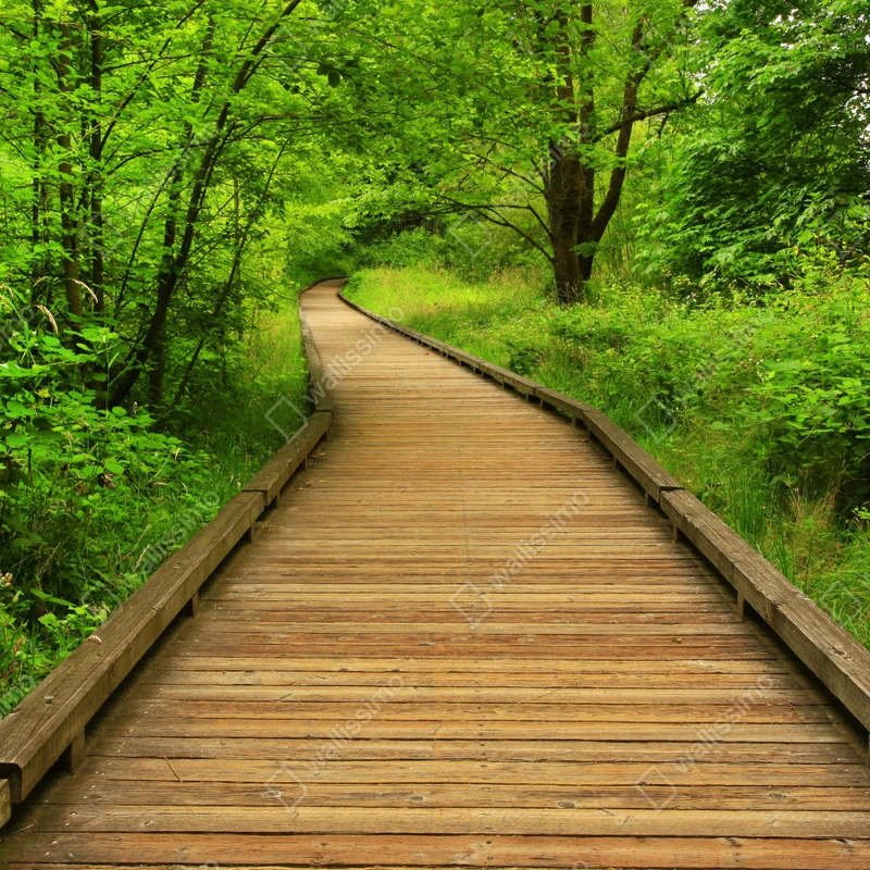 Laptop-Aufkleber ruhiger holzsteg im wald Laptop-Aufkleber ruhiger holzsteg im wald
