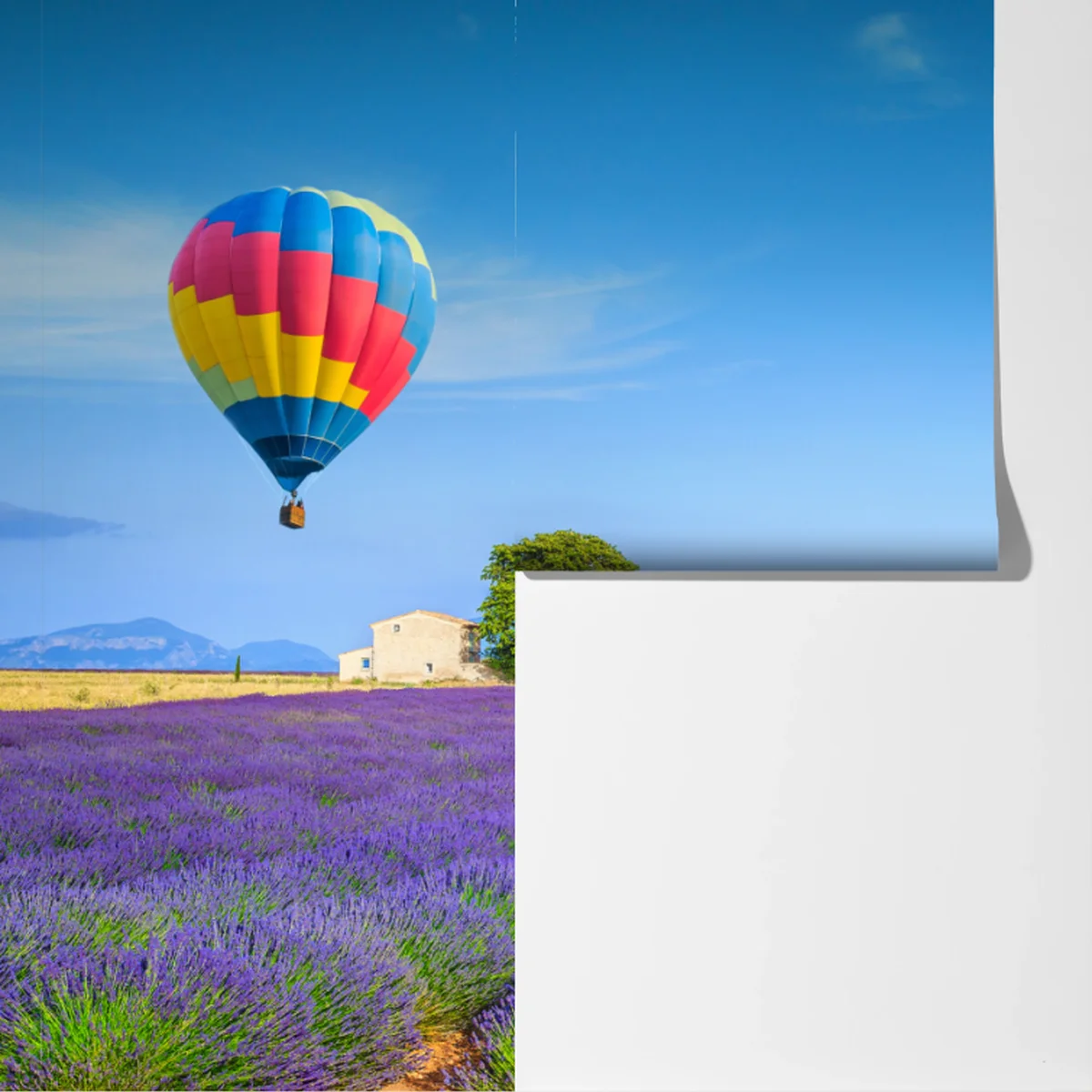 Fototapeta pola lawendy w Valensole z balonami Fototapeta pola lawendy w Valensole z balonami