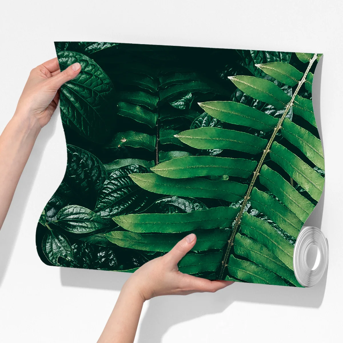 Fototapete üppige tropische blätter Fototapete üppige tropische blätter