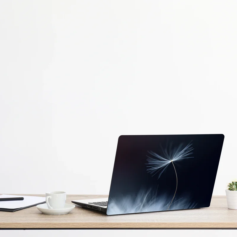 Laptop-Aufkleber zarte makroaufnahme eines löwenzahnsamens