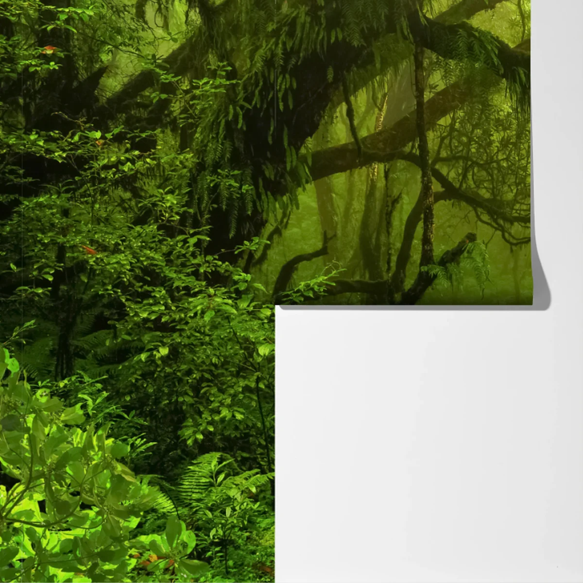 Fototapete üppiger grüner waldpfad Fototapete üppiger grüner waldpfad