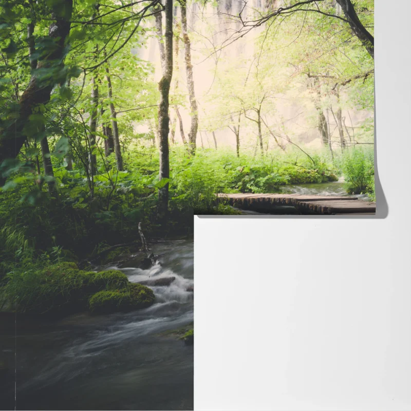 Fototapeta spokojna drewniana kładka w zielonym lesie Fototapeta spokojna drewniana kładka w zielonym lesie