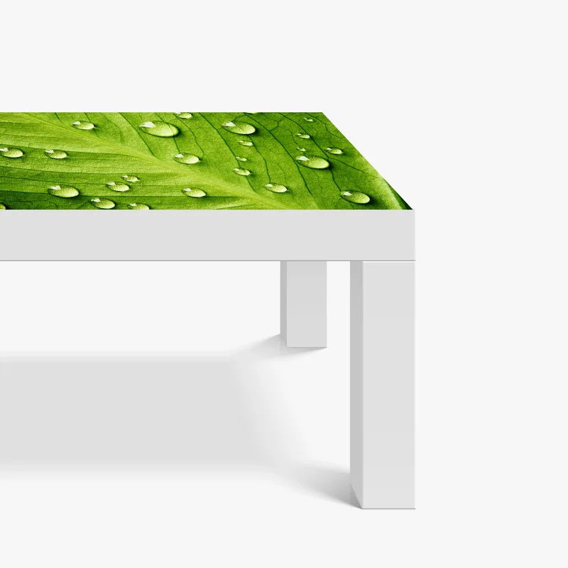 Tischaufkleber und Schreibtischaufkleber frisches grünes blatt mit wassertropfen