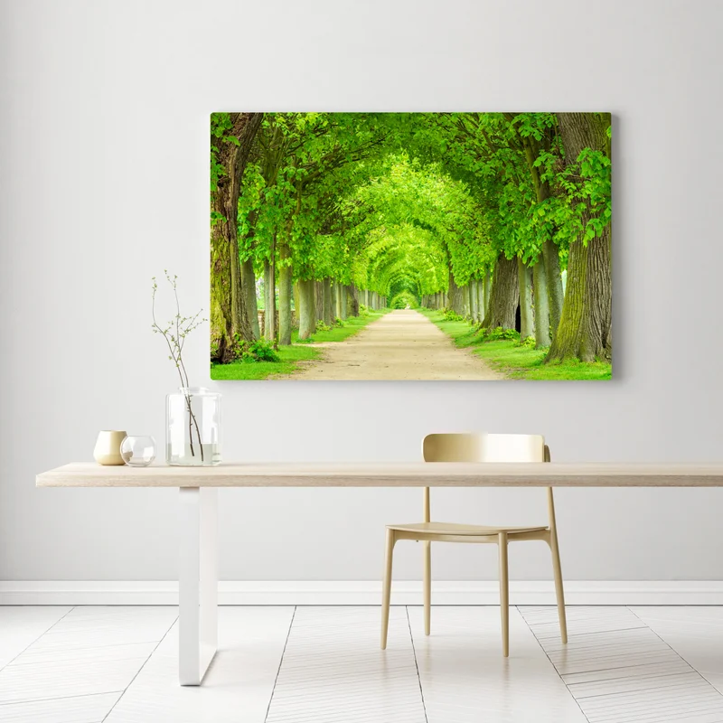 Leinwandbild grüner baumtunnel Leinwandbild grüner baumtunnel