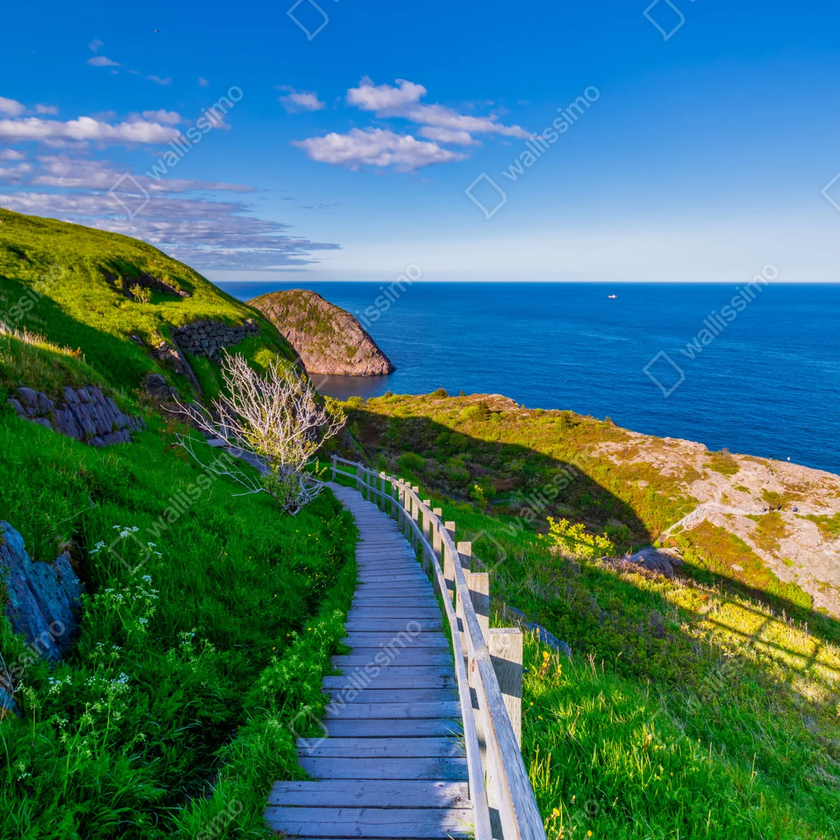 Leinwandbild küstenpfad mit blick auf das meer Leinwandbild küstenpfad mit blick auf das meer