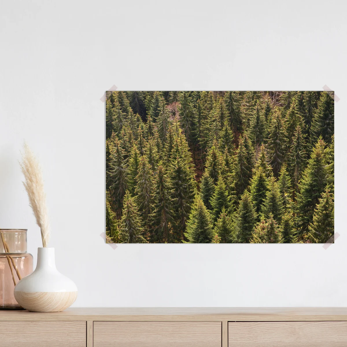 Poster Nadelbäume und ihre Wipfel im Schwarzwald • Poster bei Wallnifity® Poster Nadelbäume und ihre Wipfel im Schwarzwald • Poster bei Wallnifity®