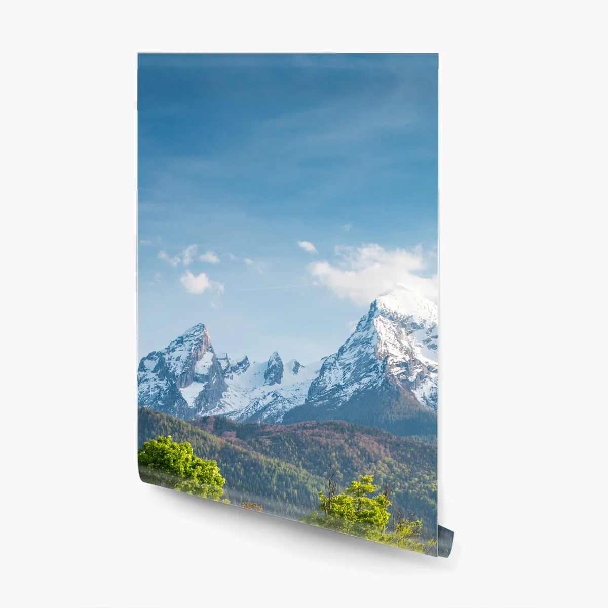 Fototapeta alpejska wiosenna łąka pod śnieżnymi szczytami Fototapeta alpejska wiosenna łąka pod śnieżnymi szczytami