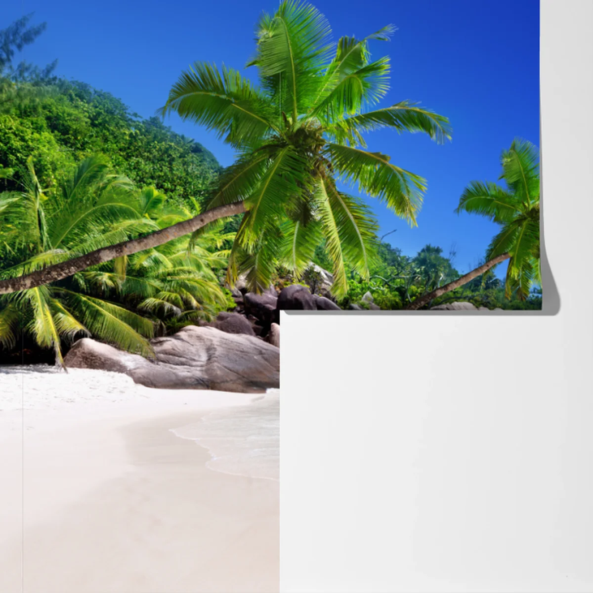 Fototapeta tropikalna plaża z turkusową wodą i palmami Fototapeta tropikalna plaża z turkusową wodą i palmami