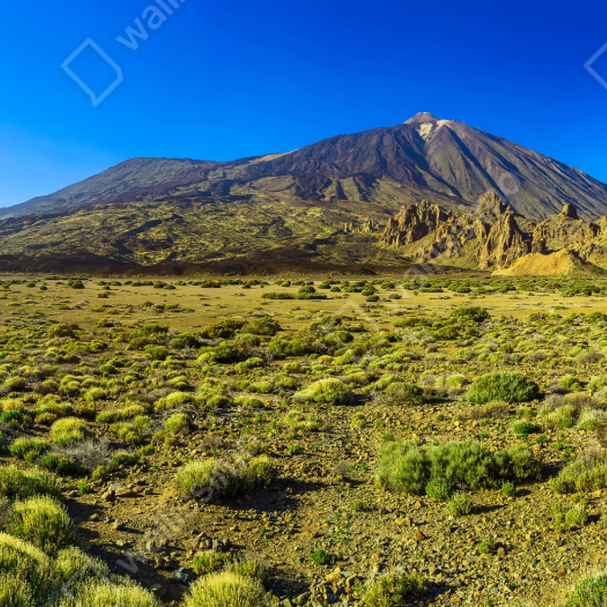 Leinwandbild panorama Teide auf Teneriffa Leinwandbild panorama Teide auf Teneriffa
