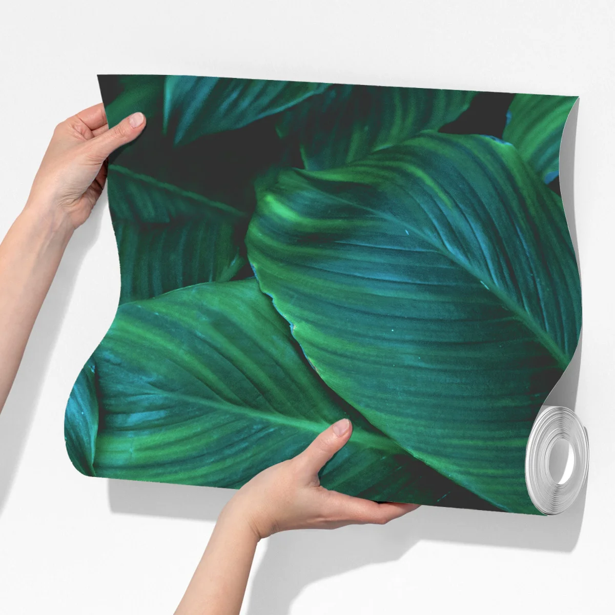 Fototapete üppige tropische blätter Fototapete üppige tropische blätter