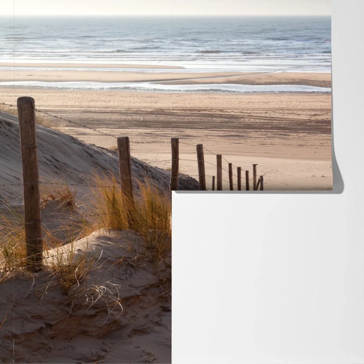 Fototapete sonniger weg zur Nordsee Fototapete sonniger weg zur Nordsee