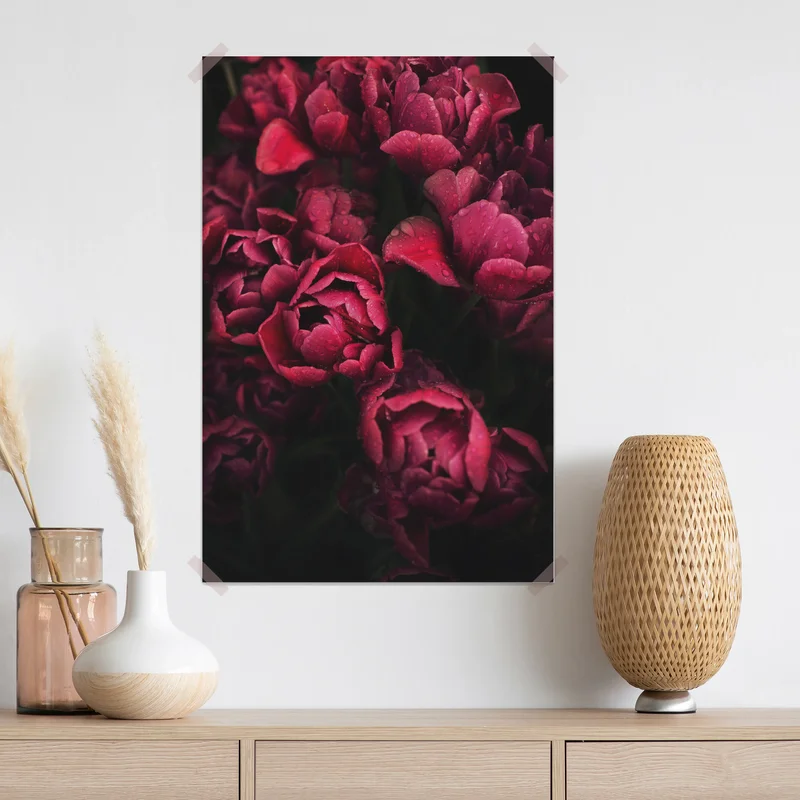 Poster tiefrote blüten mit wassertropfen Poster tiefrote blüten mit wassertropfen