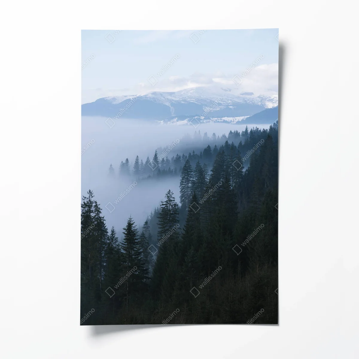 Poster Morgennebel in den Bergen. Frühlingslandschaft mit Fichtenwald • Poster bei Wallnifity® Poster Morgennebel in den Bergen. Frühlingslandschaft mit Fichtenwald • Poster bei Wallnifity®