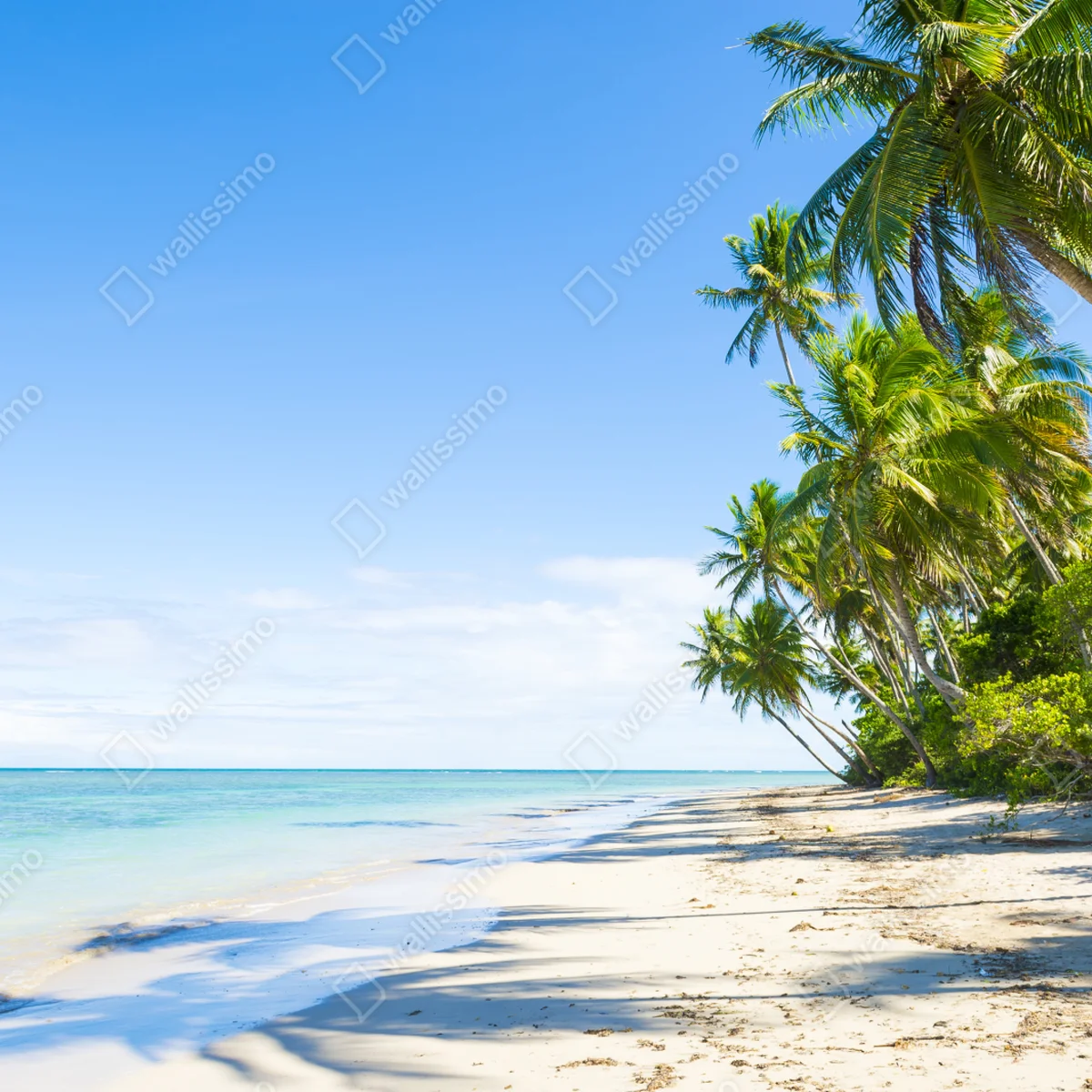 Fototapeta tropikalna plaża z palmami Fototapeta tropikalna plaża z palmami