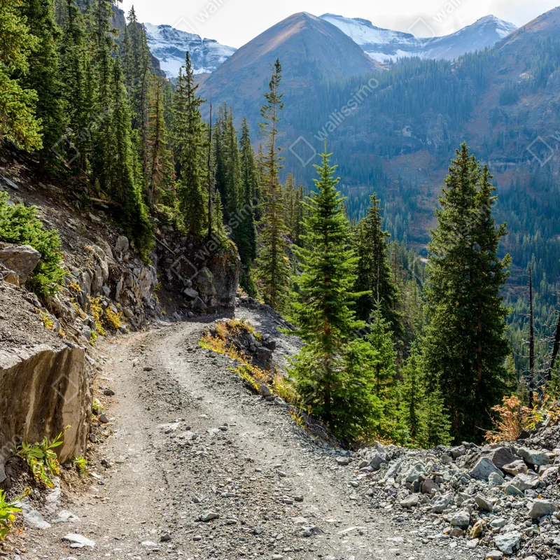 Türaufkleber bergpfad durch alpinen wald Türaufkleber bergpfad durch alpinen wald