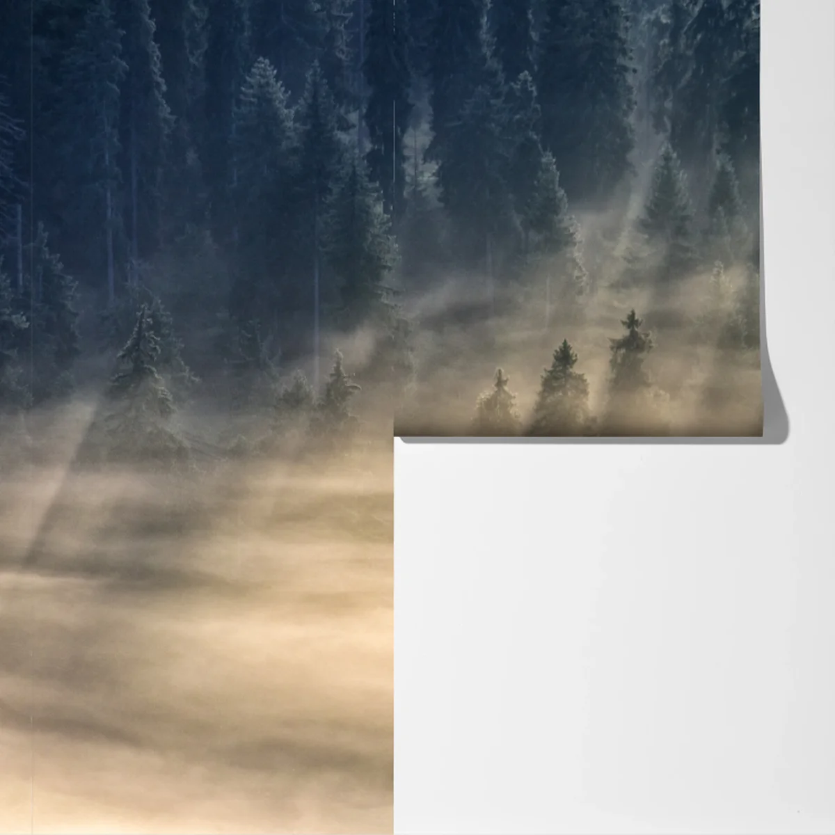 Fototapete nebliger fichtenwald im sonnenlicht Fototapete nebliger fichtenwald im sonnenlicht