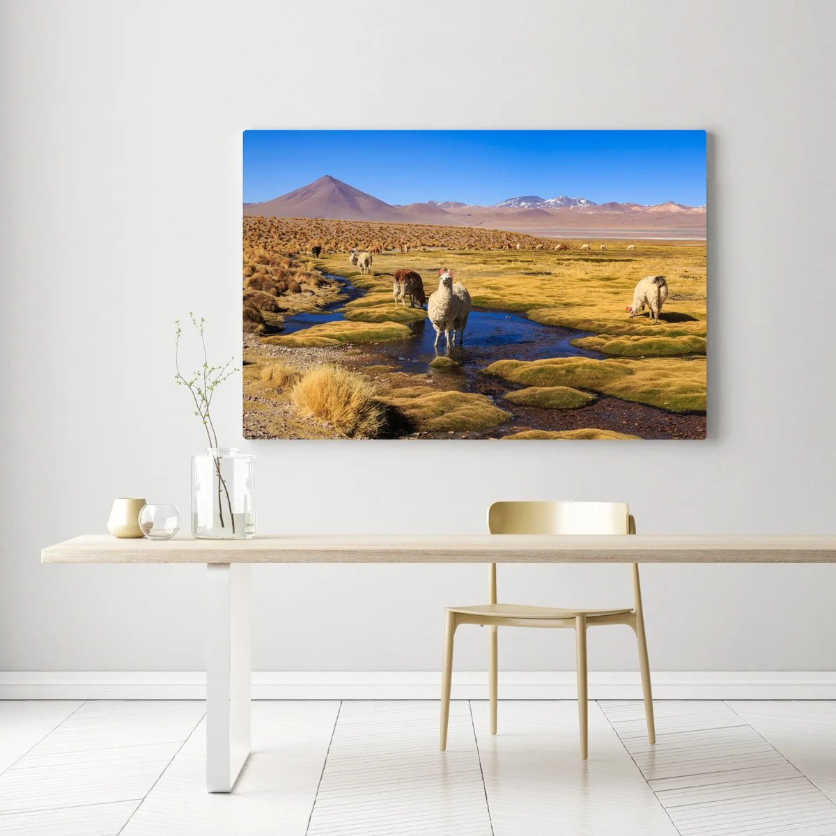 Leinwandbild lama auf dem altiplano der Anden Leinwandbild lama auf dem altiplano der Anden