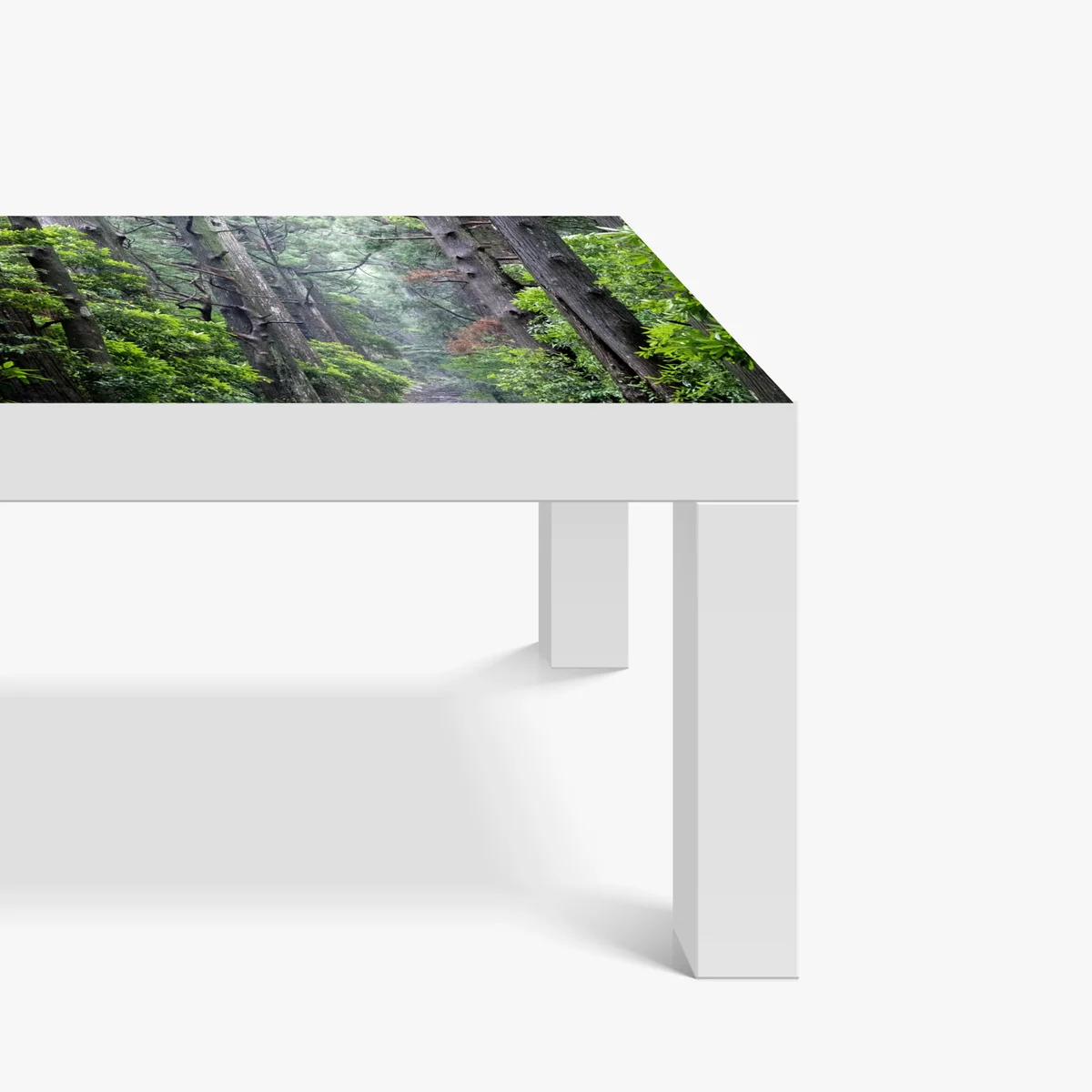 Tischaufkleber und Schreibtischaufkleber mystischer waldweg zwischen alten bäumen Tischaufkleber und Schreibtischaufkleber mystischer waldweg zwischen alten bäumen