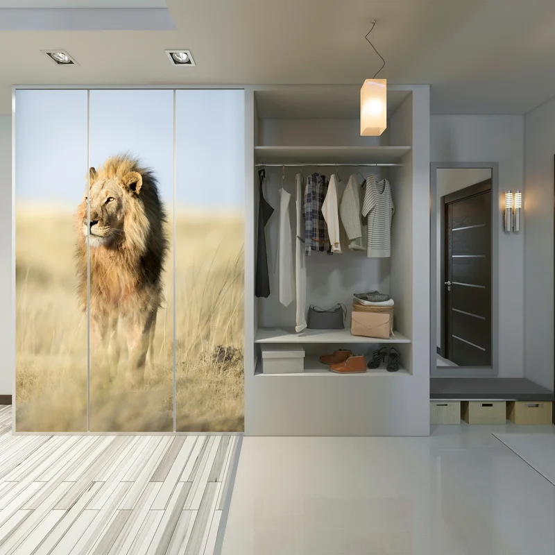 Schrankaufkleber majestätischer löwe in der steppe