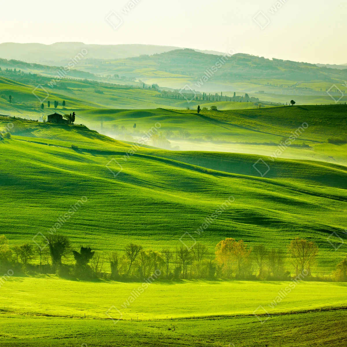Leinwandbild sonnige sanft hügelnde landschaft der Toskana Leinwandbild sonnige sanft hügelnde landschaft der Toskana