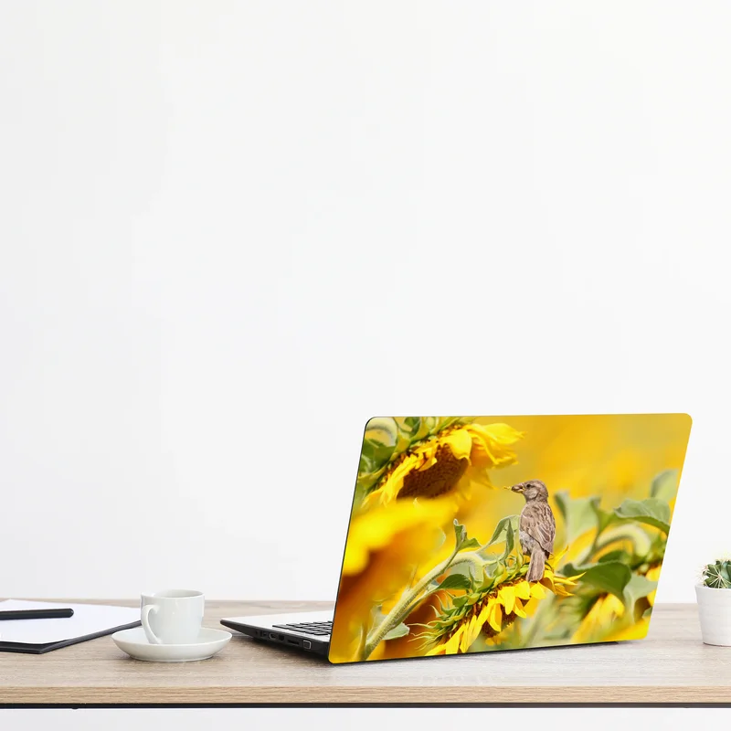 Naklejka na laptopa wróbel na słoneczniku Naklejka na laptopa wróbel na słoneczniku