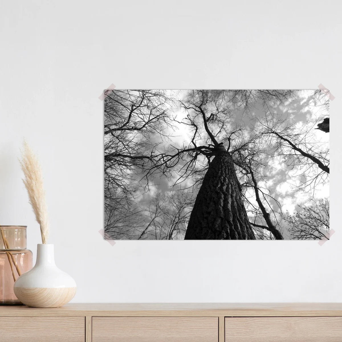 Poster Alte Bäume im Park in Schwarz-Weiß. Niedriger Blickwinkel nach oben • Poster bei Wallnifity® Poster Alte Bäume im Park in Schwarz-Weiß. Niedriger Blickwinkel nach oben • Poster bei Wallnifity®