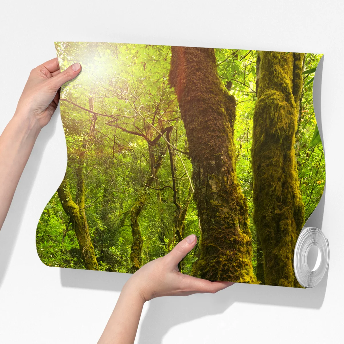 Fototapete moosiger waldbach im sonnenlicht Fototapete moosiger waldbach im sonnenlicht