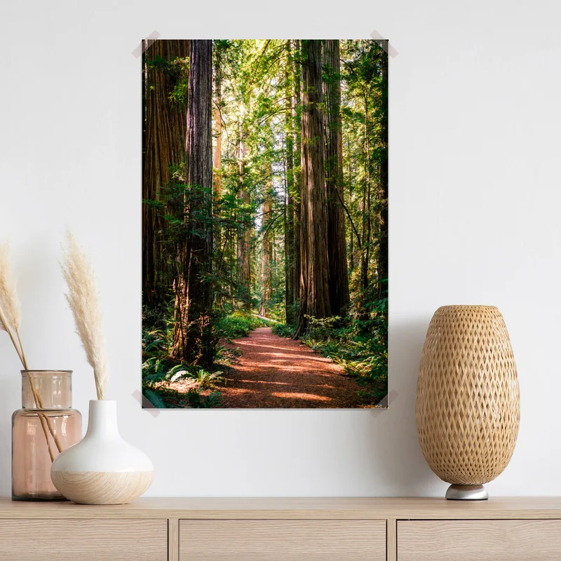 Poster majestätischer weg im sekwoienwald Poster majestätischer weg im sekwoienwald