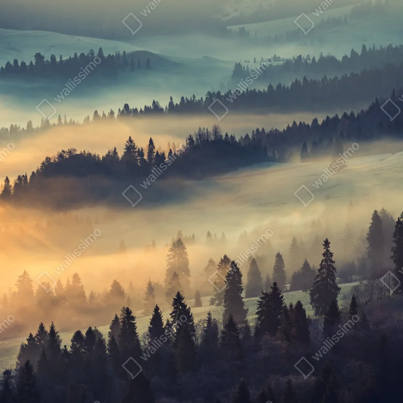 Repositionierbarer Aufkleber nebliger bergwald im sonnenaufgang Repositionierbarer Aufkleber nebliger bergwald im sonnenaufgang