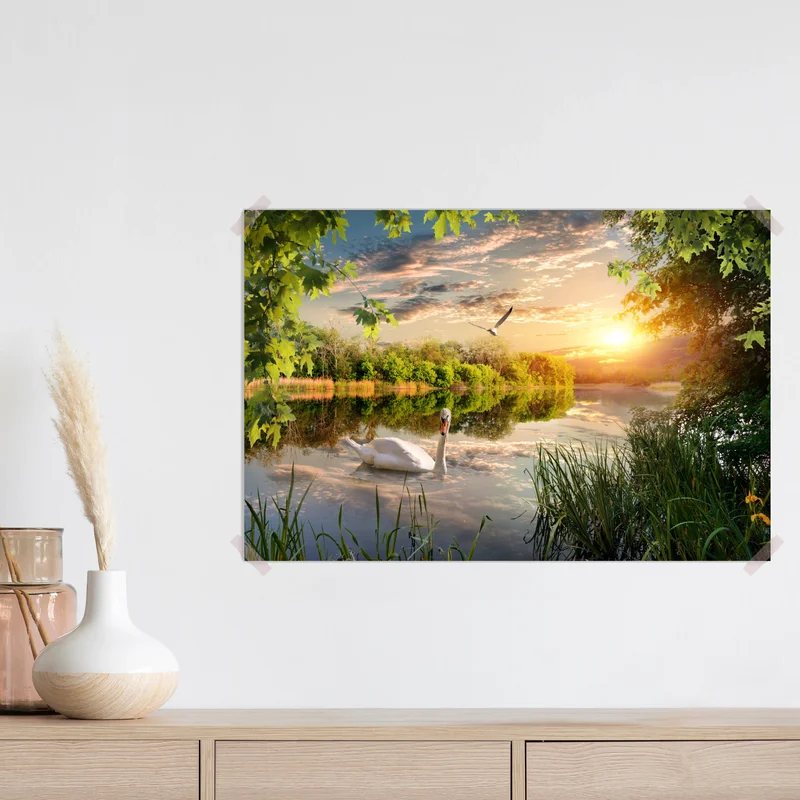 Poster sonnenuntergang mit schwan auf stillem see Poster sonnenuntergang mit schwan auf stillem see