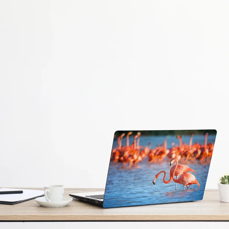 Naklejka na laptopa wdzięczne flamingi w płytkiej wodzie