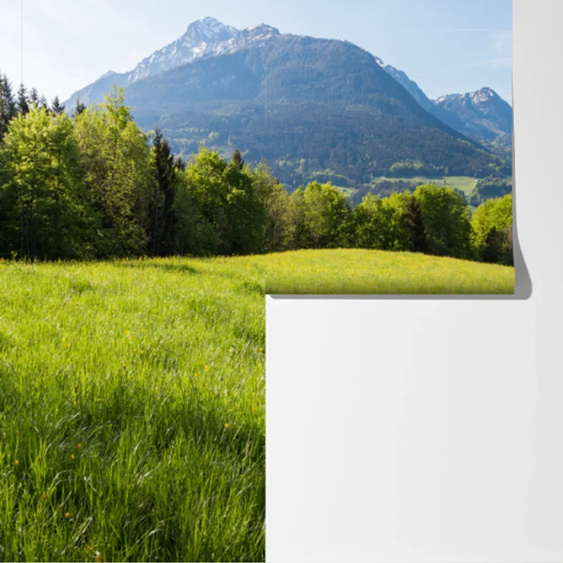 Fototapeta spokojna alpejska łąka w panoramie Fototapeta spokojna alpejska łąka w panoramie