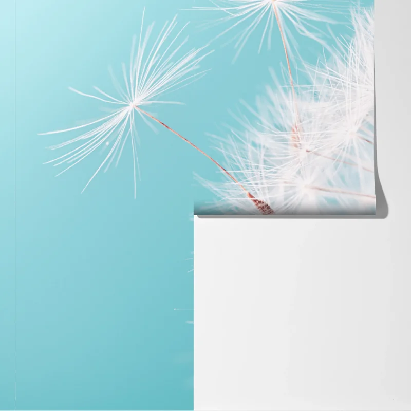 Fototapeta delikatny dmuchawiec na turkusowym tle Fototapeta delikatny dmuchawiec na turkusowym tle