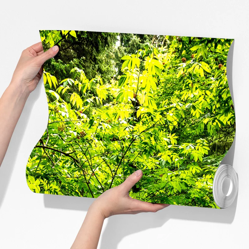 Fototapeta bujna leśna ścieżka Fototapeta bujna leśna ścieżka