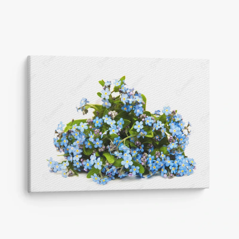 Leinwandbild vergiss mich nots blumen • Leinwandbilder bei Wallnifity® Leinwandbild vergiss mich nots blumen • Leinwandbilder bei Wallnifity®