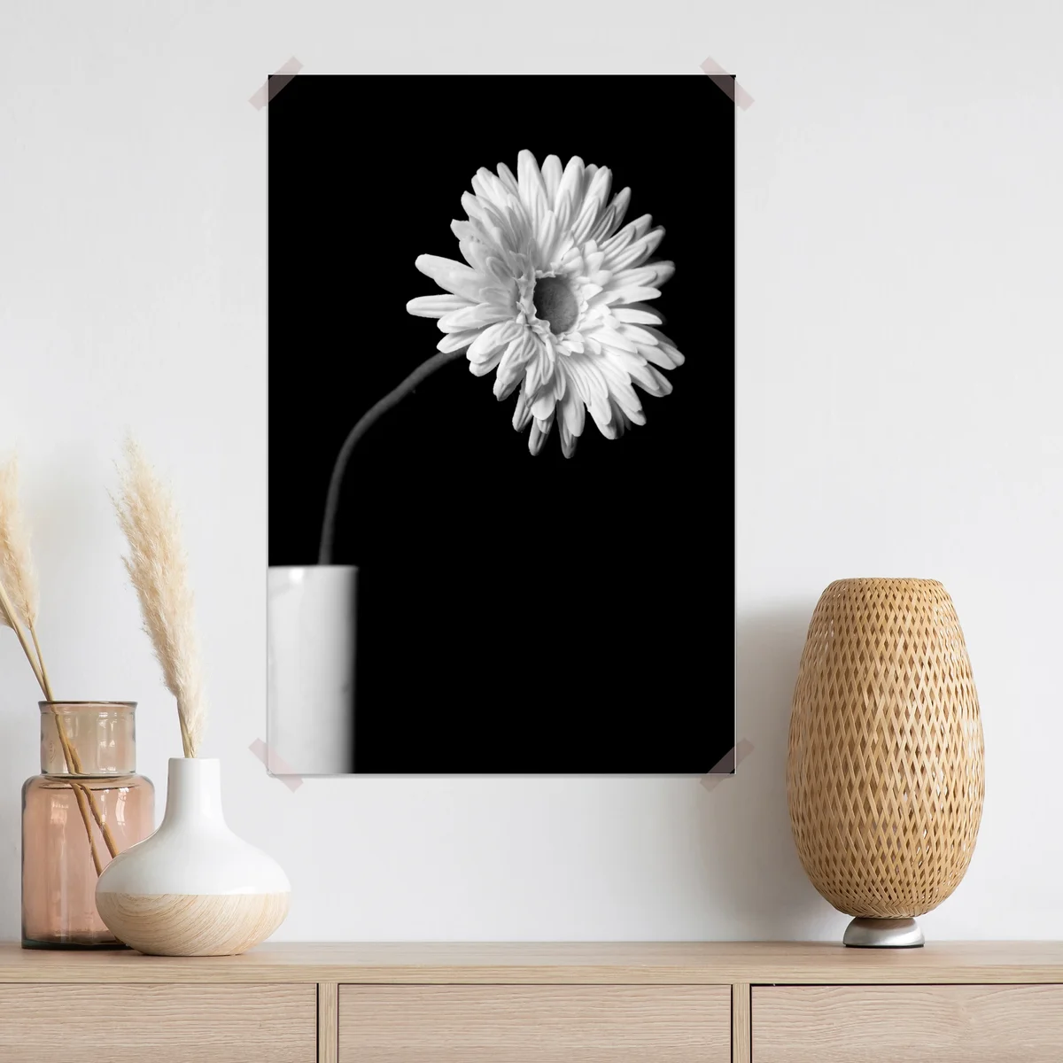 Poster weiße gerbera vor schwarzem hintergrund Poster weiße gerbera vor schwarzem hintergrund