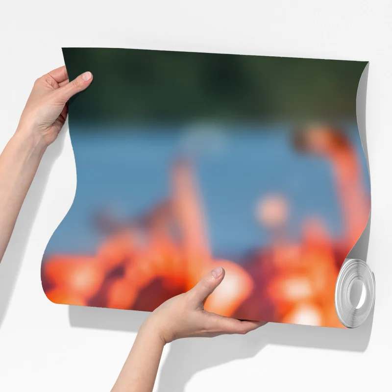 Fototapeta wdzięczne flamingi w płytkiej wodzie Fototapeta wdzięczne flamingi w płytkiej wodzie