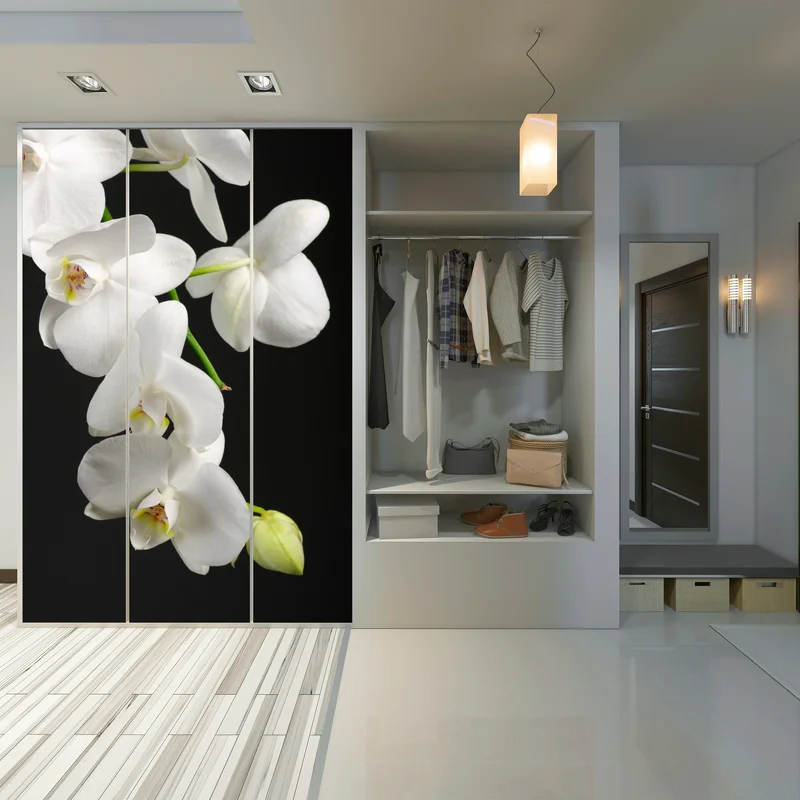 Schrankaufkleber weißer orchideenzweig vor schwarzem hintergrund