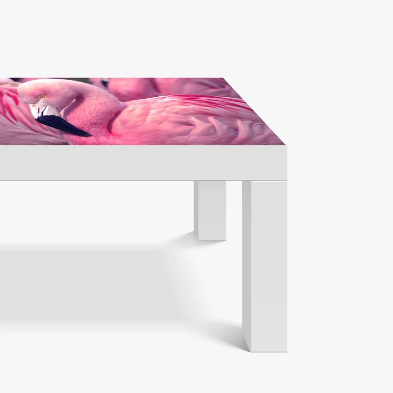 Tischaufkleber und Schreibtischaufkleber rosa flamingo nahaufnahme Tischaufkleber und Schreibtischaufkleber rosa flamingo nahaufnahme