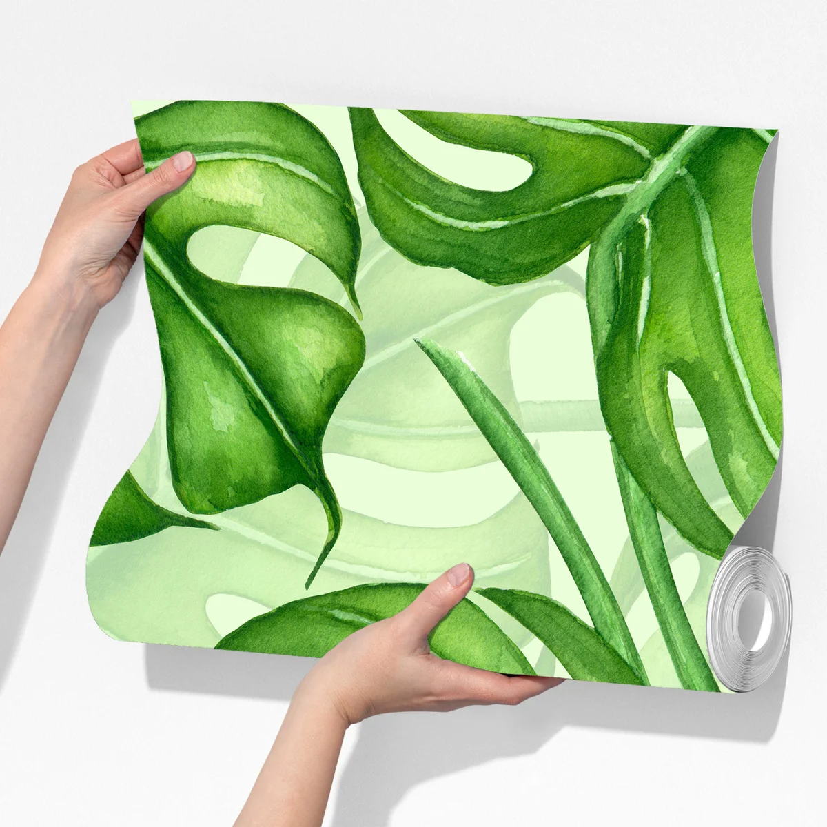 Fototapete aquarell monstera blättermuster Fototapete aquarell monstera blättermuster