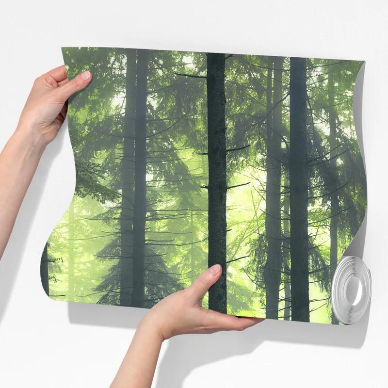 Fototapeta tajemniczy zielony wiosenny las Fototapeta tajemniczy zielony wiosenny las