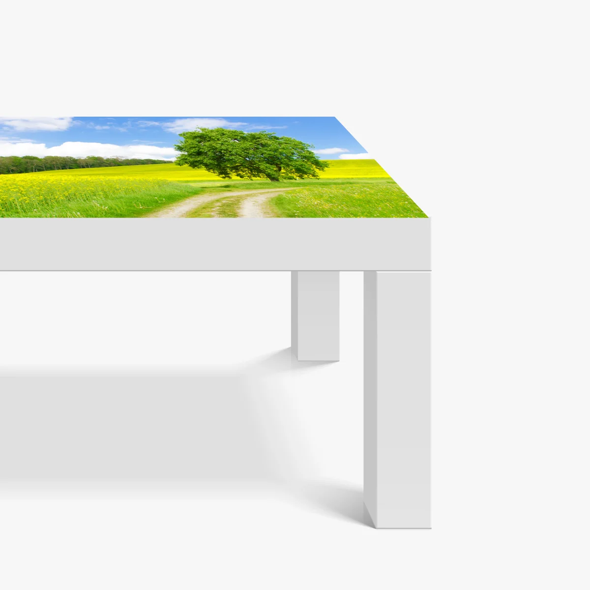 Tischaufkleber und Schreibtischaufkleber sonniger feldweg mit einsamem baum Tischaufkleber und Schreibtischaufkleber sonniger feldweg mit einsamem baum