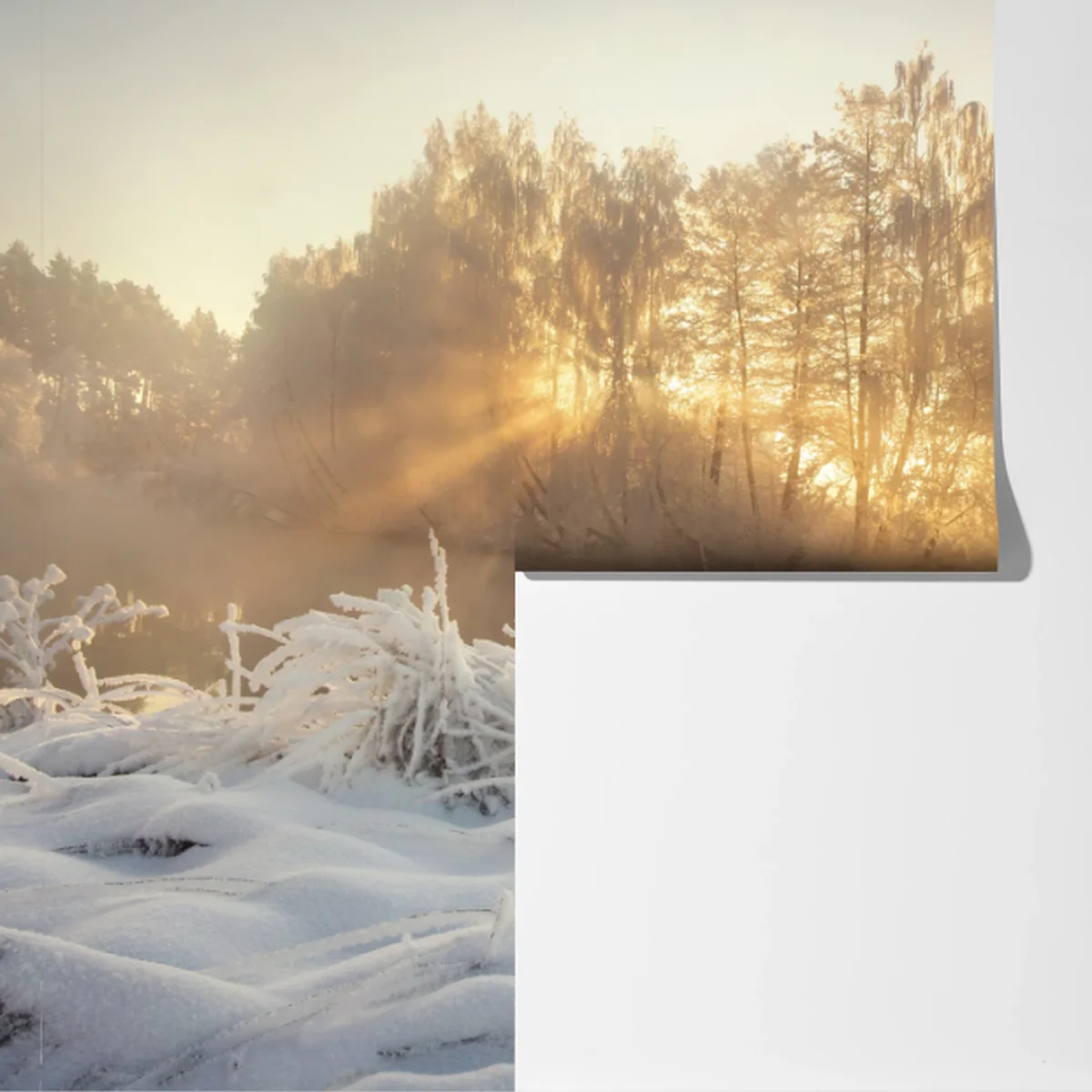 Fototapete goldener wintersonnenaufgang über dem frostigen fluss Fototapete goldener wintersonnenaufgang über dem frostigen fluss