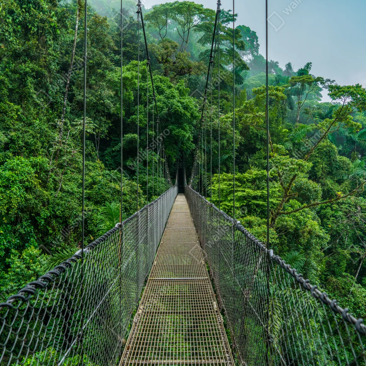 Kühlschrankaufkleber hängende brücke im dichten dschungel Kühlschrankaufkleber hängende brücke im dichten dschungel