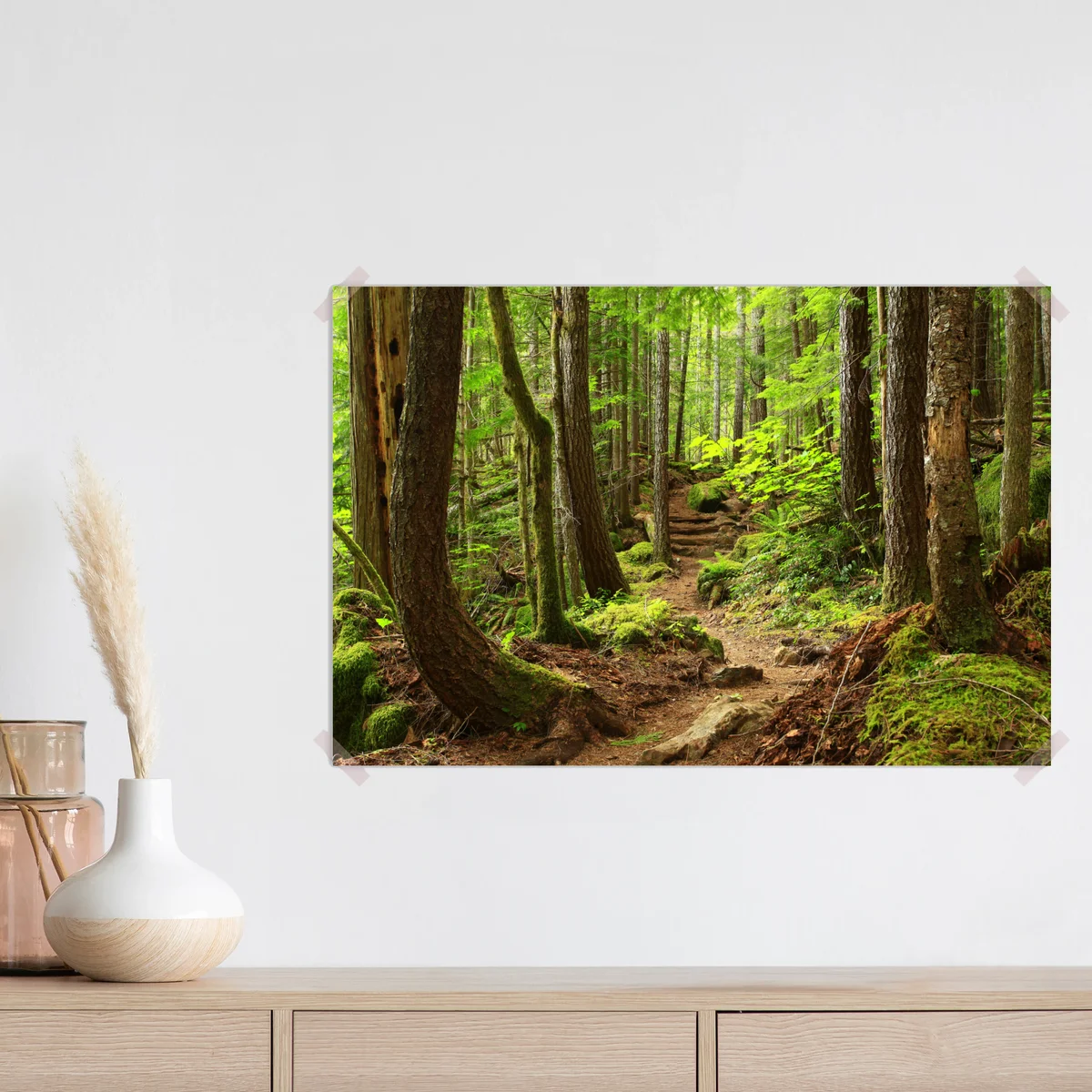 Poster moosiger waldpfad Poster moosiger waldpfad