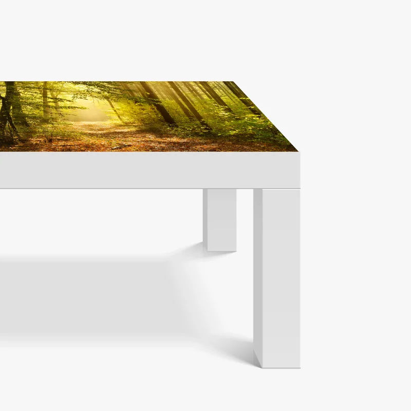 Tischaufkleber und Schreibtischaufkleber sonnenbeschienener waldweg im herbst